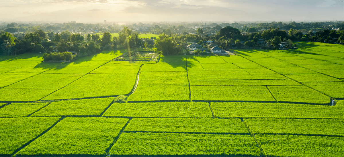 Own land in an Ontario corporation? Learn the new rules that apply